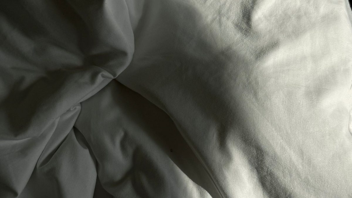 A white duvet in early morning light